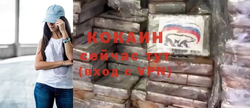 цена   Петропавловск-Камчатский  hydra ссылки  дарк нет клад  Cocaine 98% 