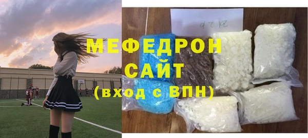индика Новозыбков