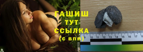 индика Новозыбков