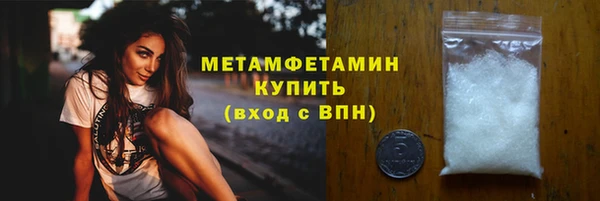 индика Новозыбков