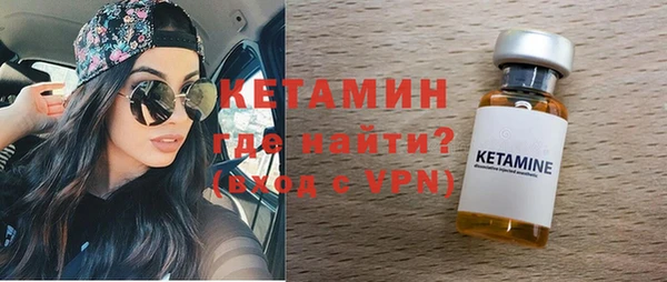 индика Новозыбков