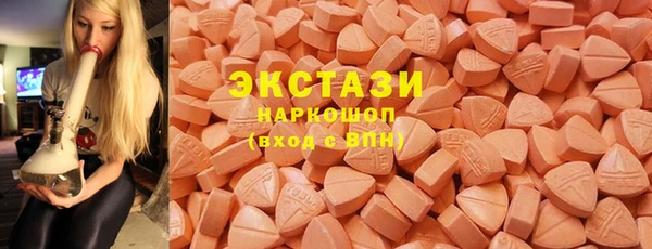 индика Новозыбков