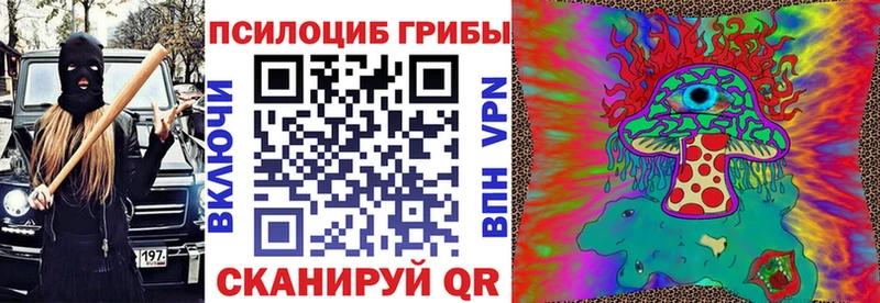 omg сайт  Петропавловск-Камчатский  Галлюциногенные грибы мухоморы 