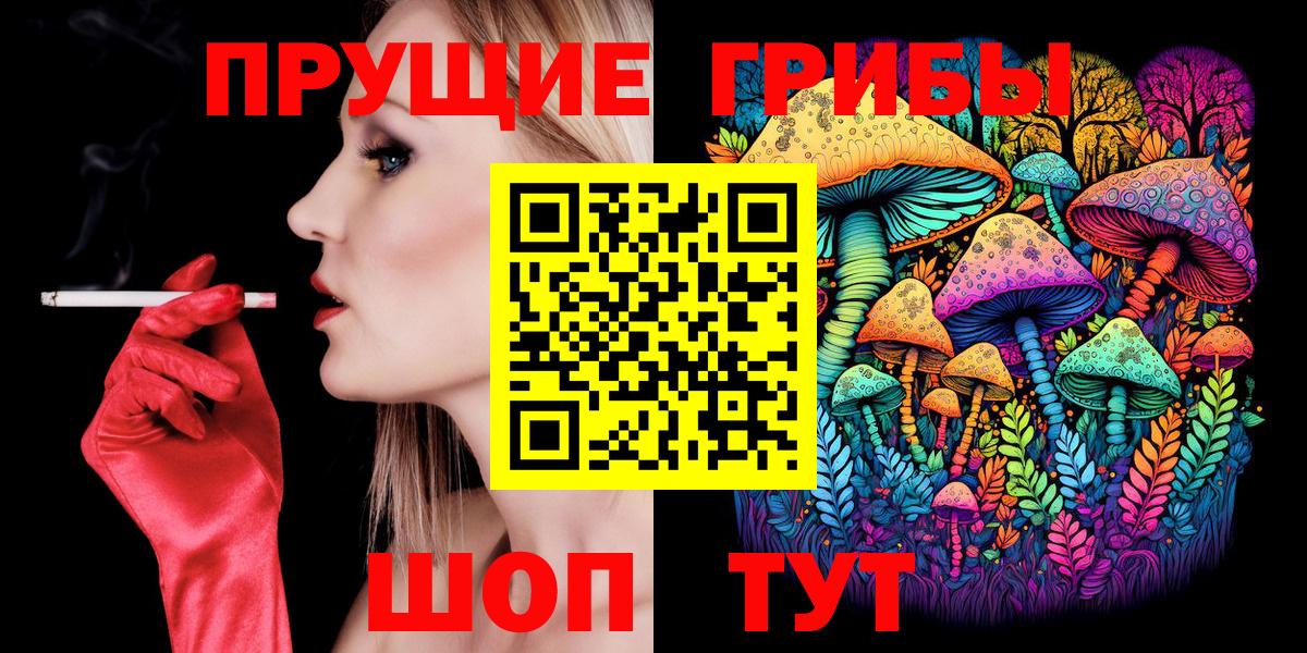Галлюциногенные грибы Psilocybine cubensis Петропавловск-Камчатский