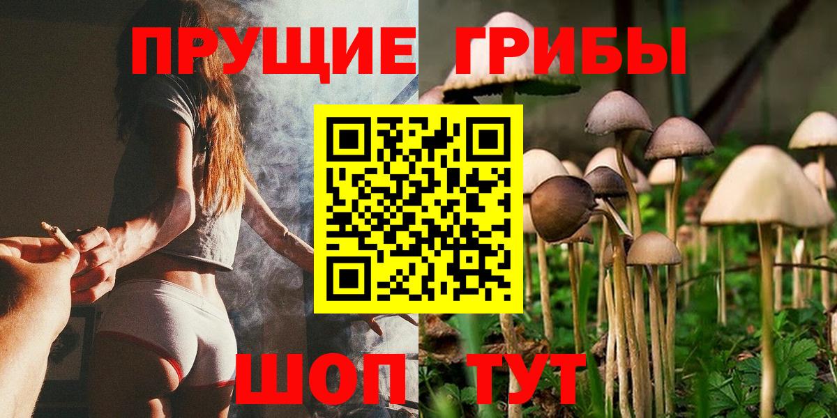 наркошоп  Галлюциногенные грибы Cubensis  Петропавловск-Камчатский  Галлюциногенные грибы ЛСД 